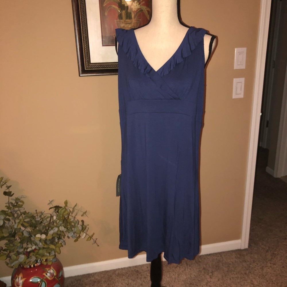 NWT Ann Taylor blue cotton dress Sz L